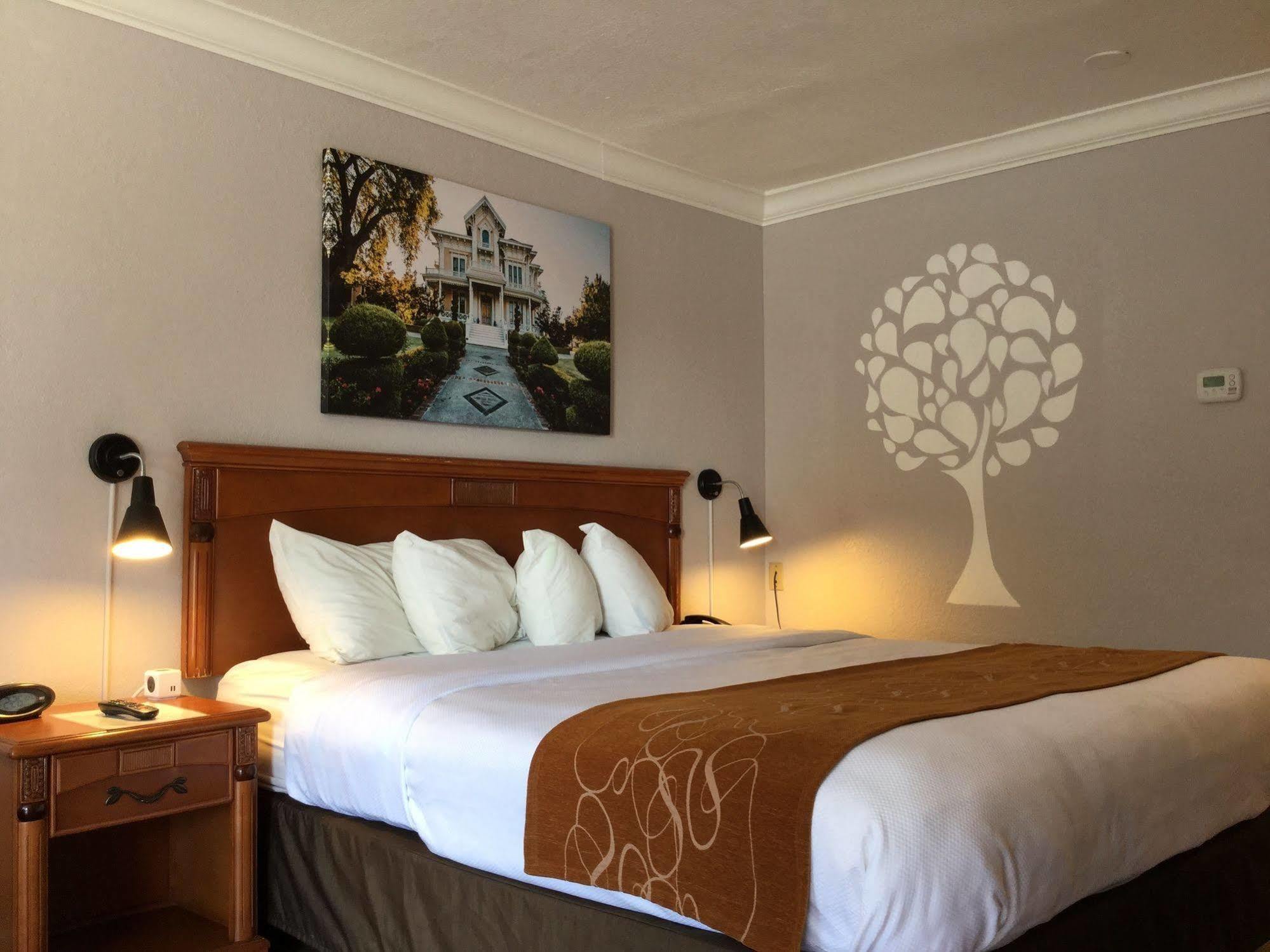 Journey Inn Woodland Ngoại thất bức ảnh