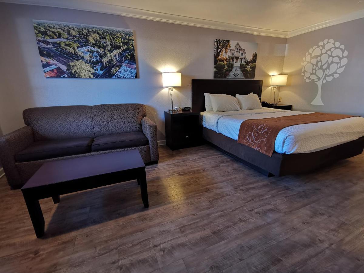 Journey Inn Woodland Ngoại thất bức ảnh